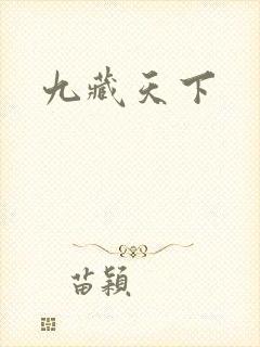 九藏天下