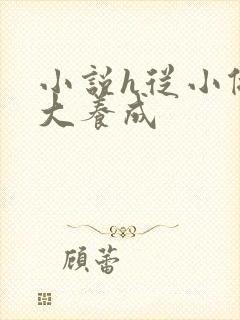 小说h从小做到大养成封面