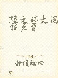 陆文婷大团圆小说免费封面