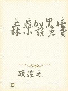 上瘾by黑暗森林小说免费封面