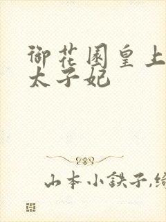 御花园皇上撞着太子妃