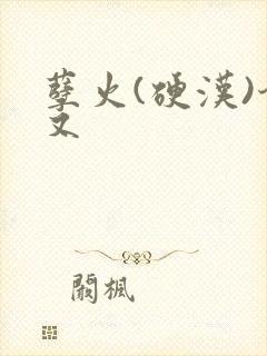 孽火(硬汉)今又