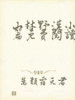 山林野汉小说全篇免费阅读