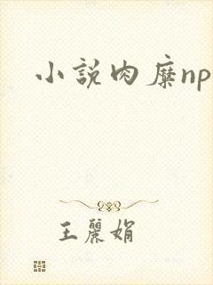 小说肉糜np