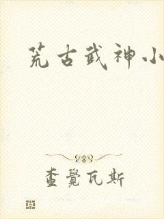 荒古武神小说