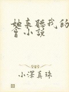 她来听我的演唱会小说