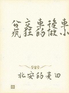 公交车后车座的疯狂的做小