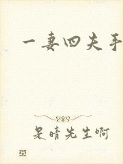 一妻四夫手记