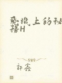 飞机上的秘密服务H