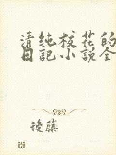 清纯校花的堕落日记小说全文免费阅读