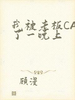 我被老板CAO了一晚上