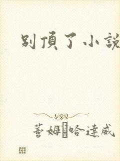 别顶了小说封面