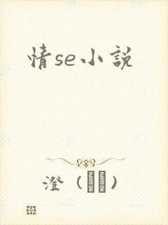 情se小说