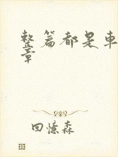 整篇都是车的文章