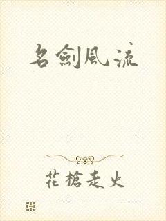 名剑风流封面