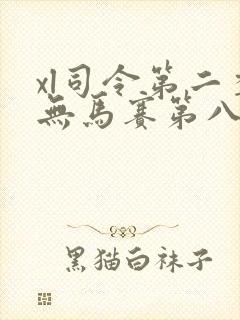 xl司令第二季无马赛第八集