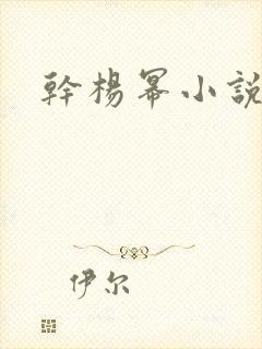 干杨幂小说封面