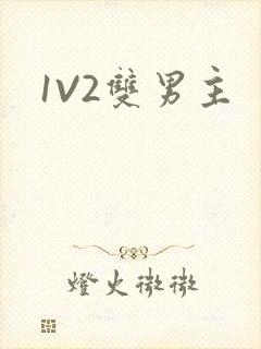 1V2双男主