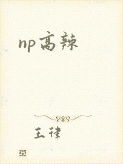 np高辣