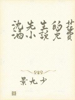 沈先生的花式调酒小说免费阅读封面