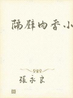 隔壁肉香小说