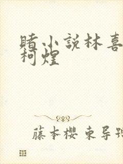 赌小说林喜朝和柯煜