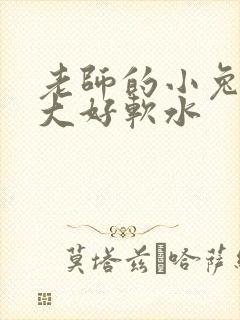 老师的小兔子好大好软水