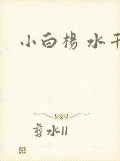 小白杨 水千丞
