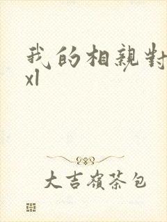 我的相亲对象是xl