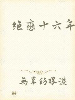 绝恋十六年封面