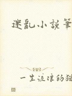 迷乱小说笔趣阁