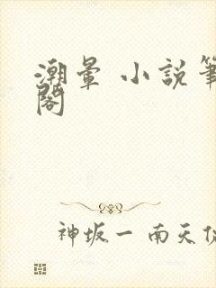 潮晕 小说笔趣阁封面