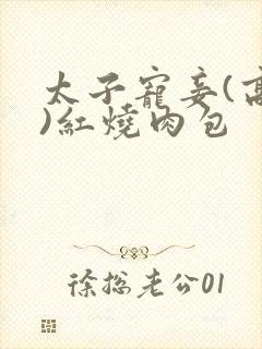 太子宠妾(高肉)红烧肉包