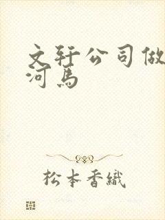 文轩公司做扩张河马