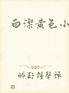 白洁黄色小说