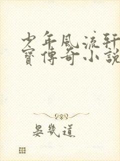 少年风流轩辕大宝传奇小说