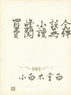 罗峰小说全文免费阅读无弹窗