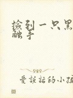 捡到一只黑心小触手