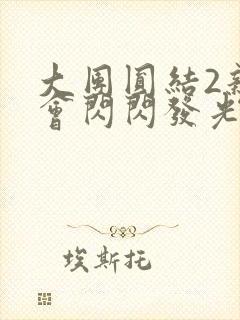 大团圆结2亲情会闪闪发光亲情会2