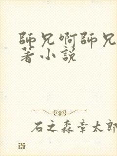 师兄啊师兄的原著小说