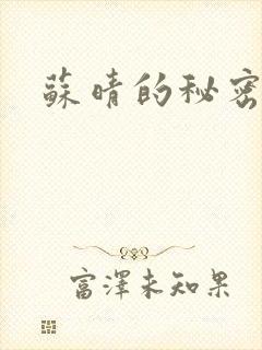 苏晴的秘密小说