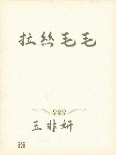 拉丝毛毛