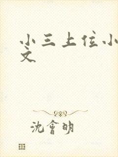 小三上位小说全文