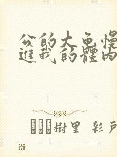 公的大龟慢慢挺进我的体内