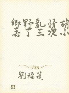 乡野乱情胡秀英丢了三次小说封面