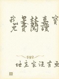 我是林喜宝小说免费阅读封面