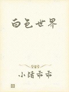 白色世界封面