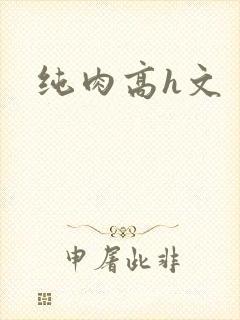 纯肉高h文