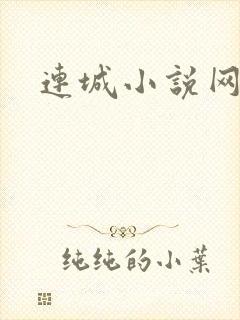 连城小说网