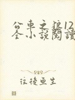 公车之狼12集全小说阅读